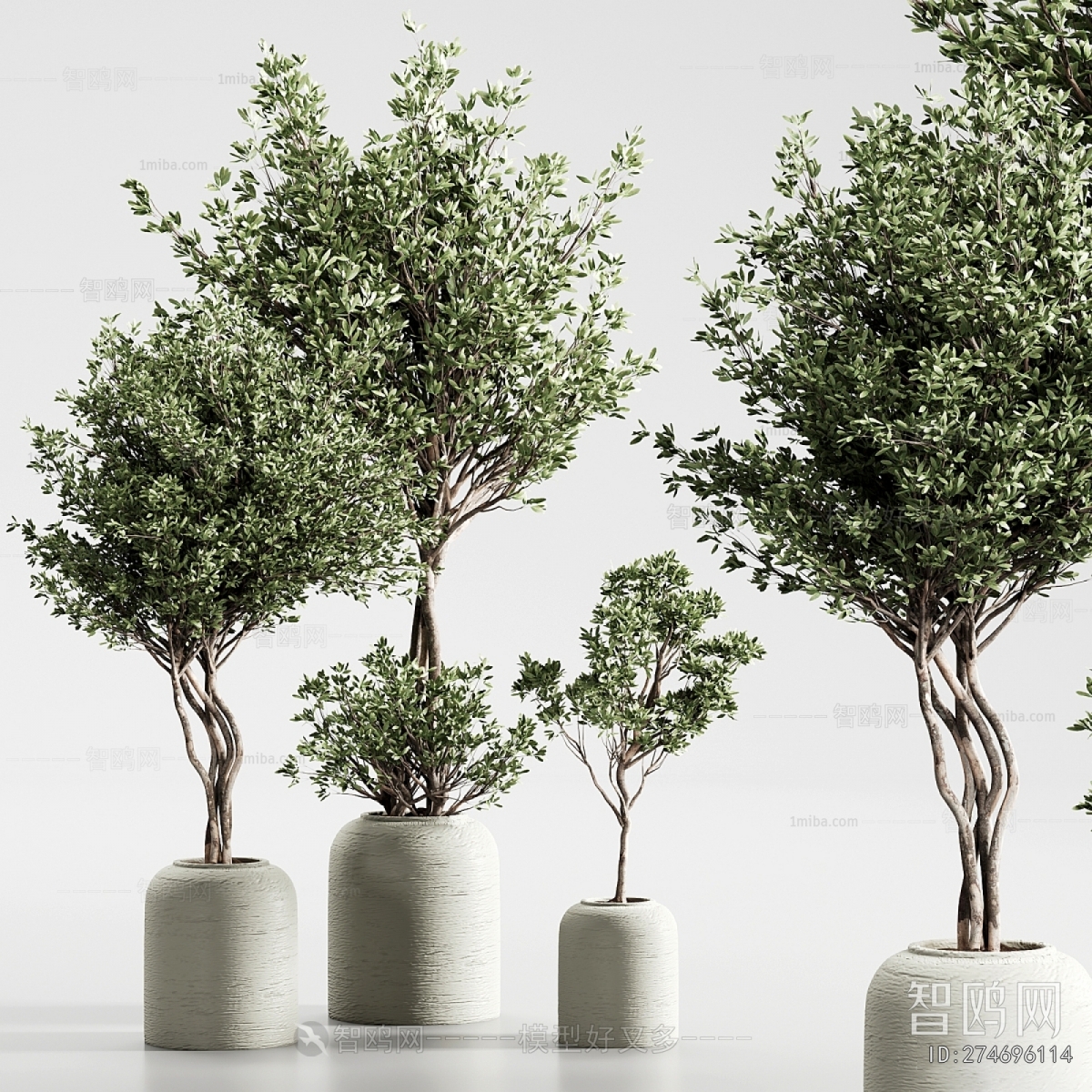 Modern Ground Green Plant Potted Plants