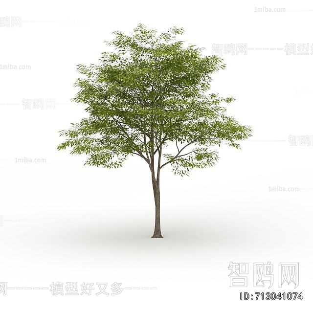 Modern Tree