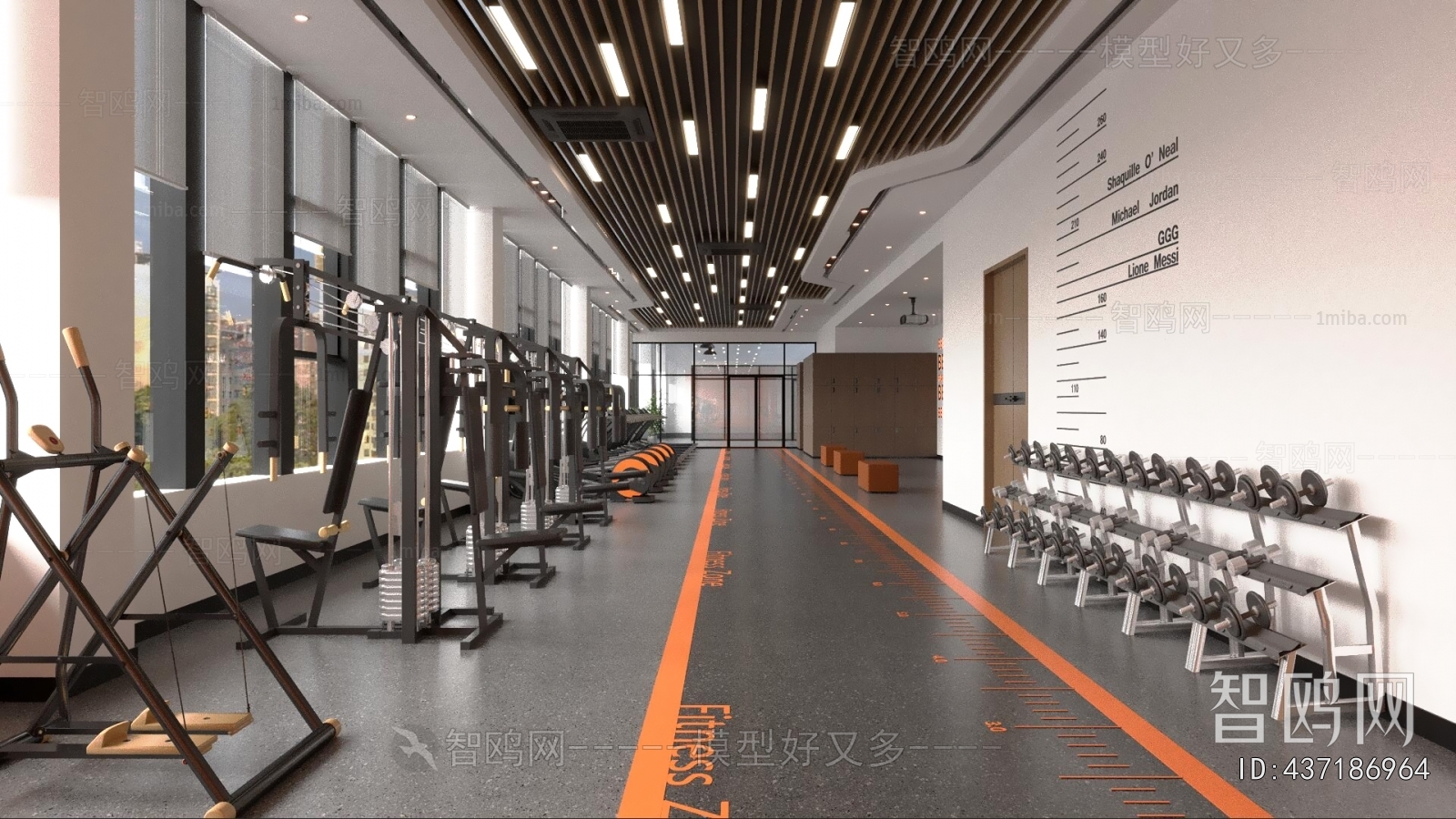 Modern Gym