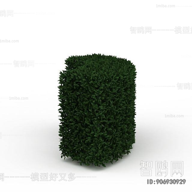 Modern Shrubbery