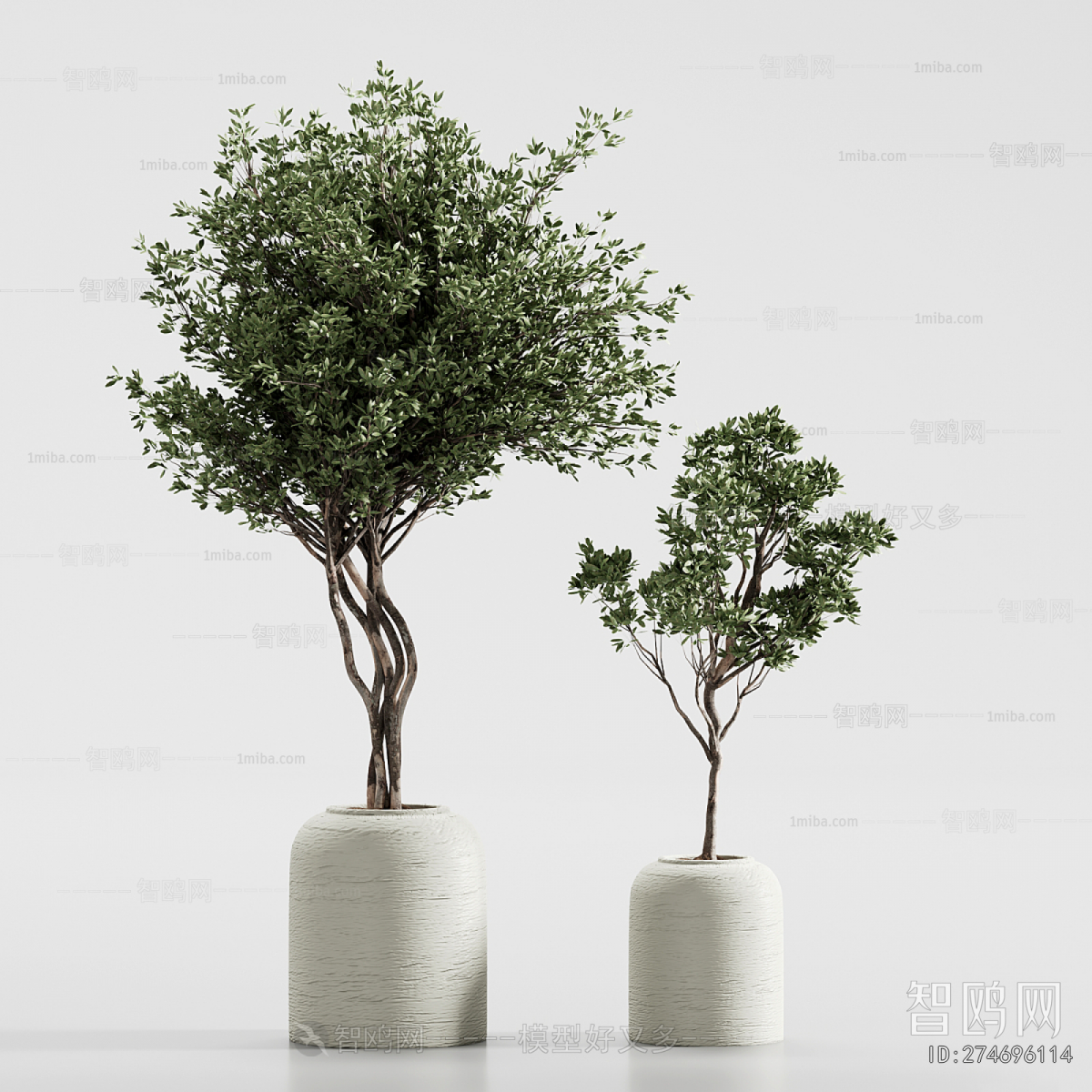 Modern Ground Green Plant Potted Plants