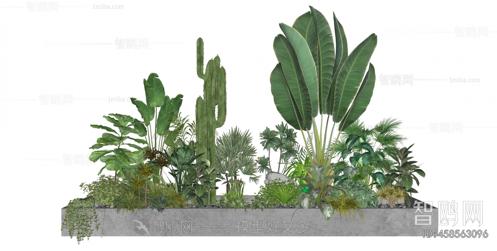 Modern Plant Landscaping