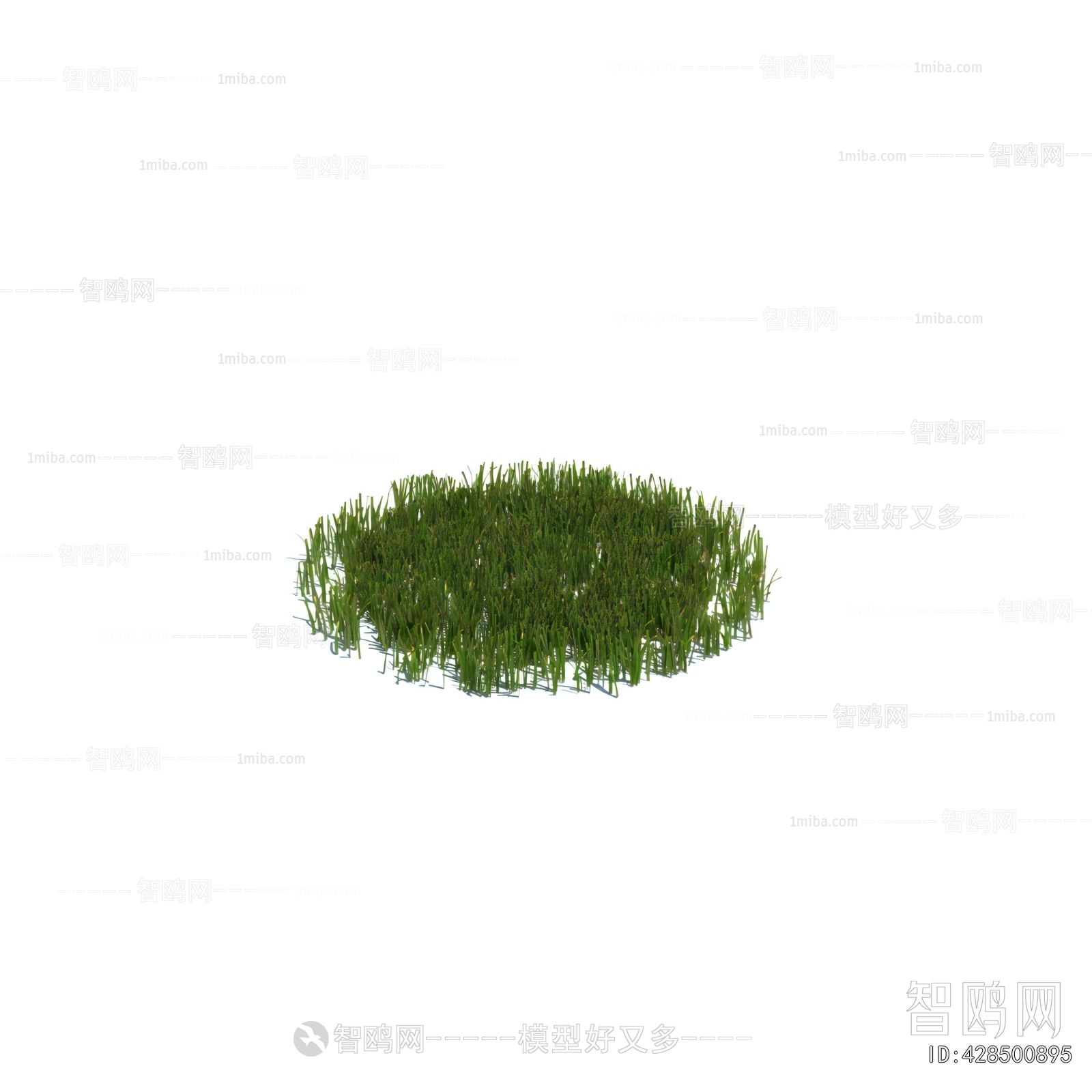 Modern The Grass