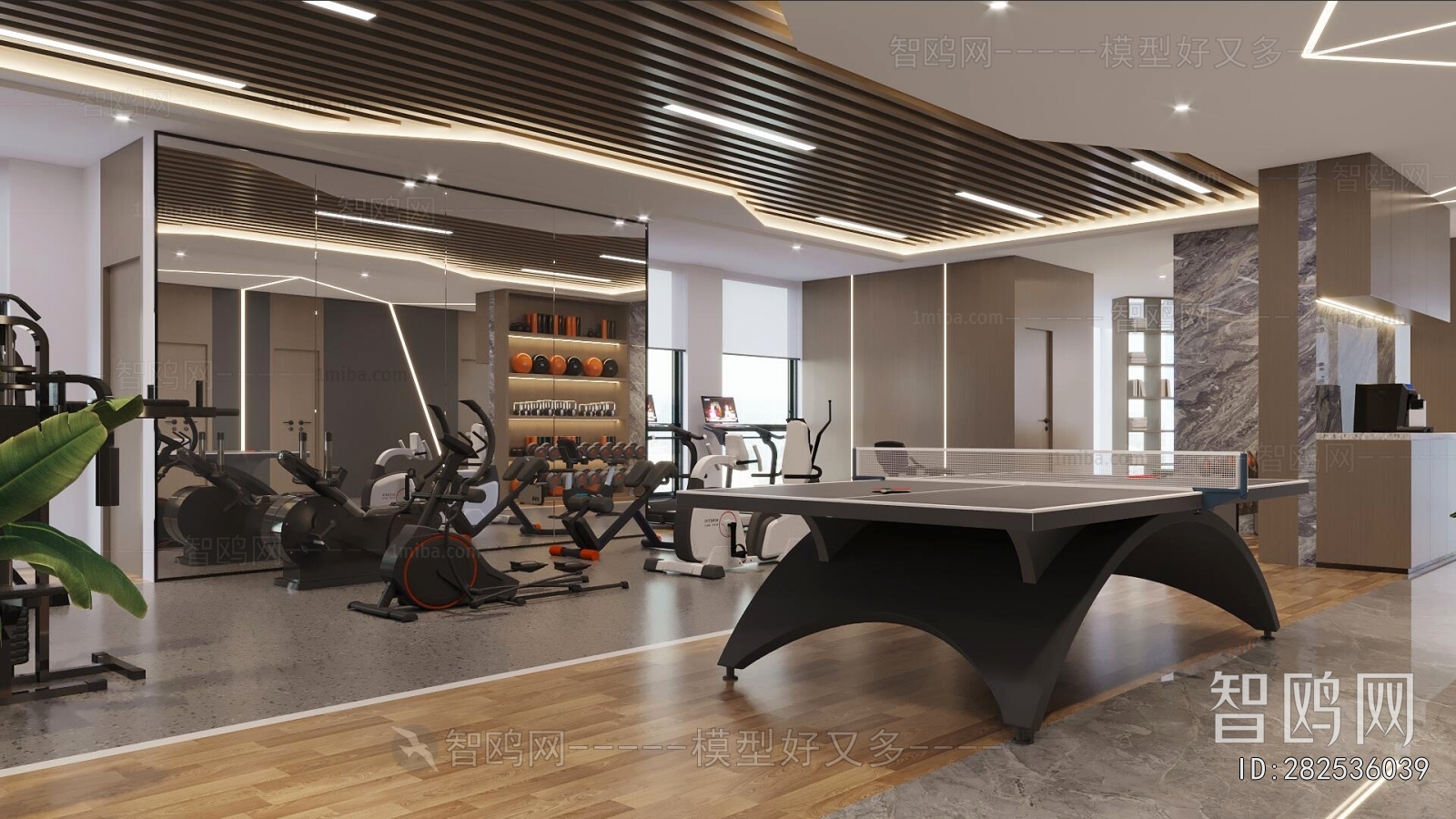 Modern Gym