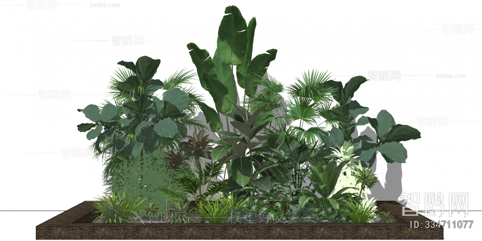 Modern Plant Landscaping