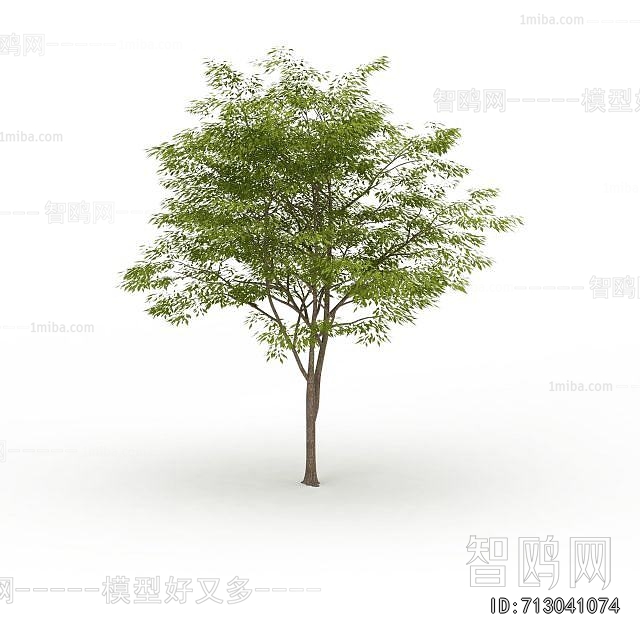 Modern Tree
