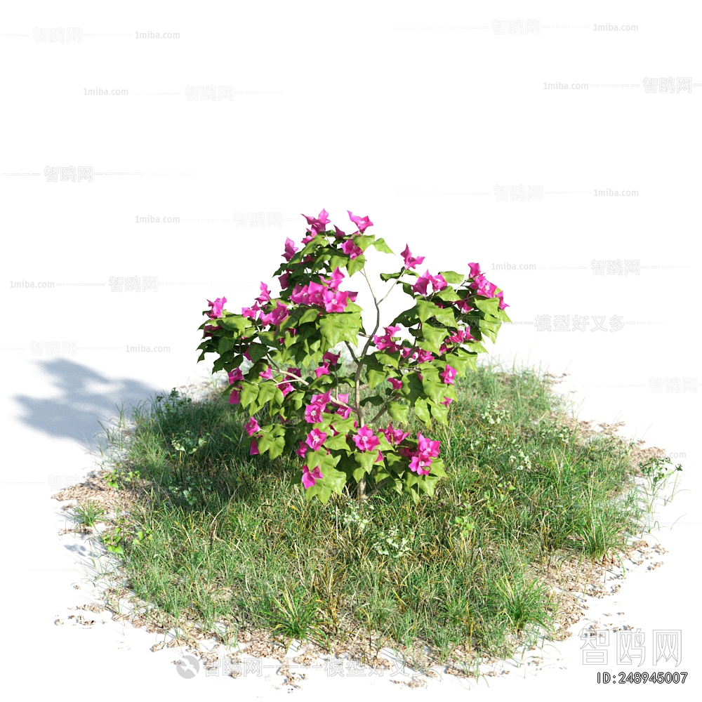 Modern Flowers And Grass