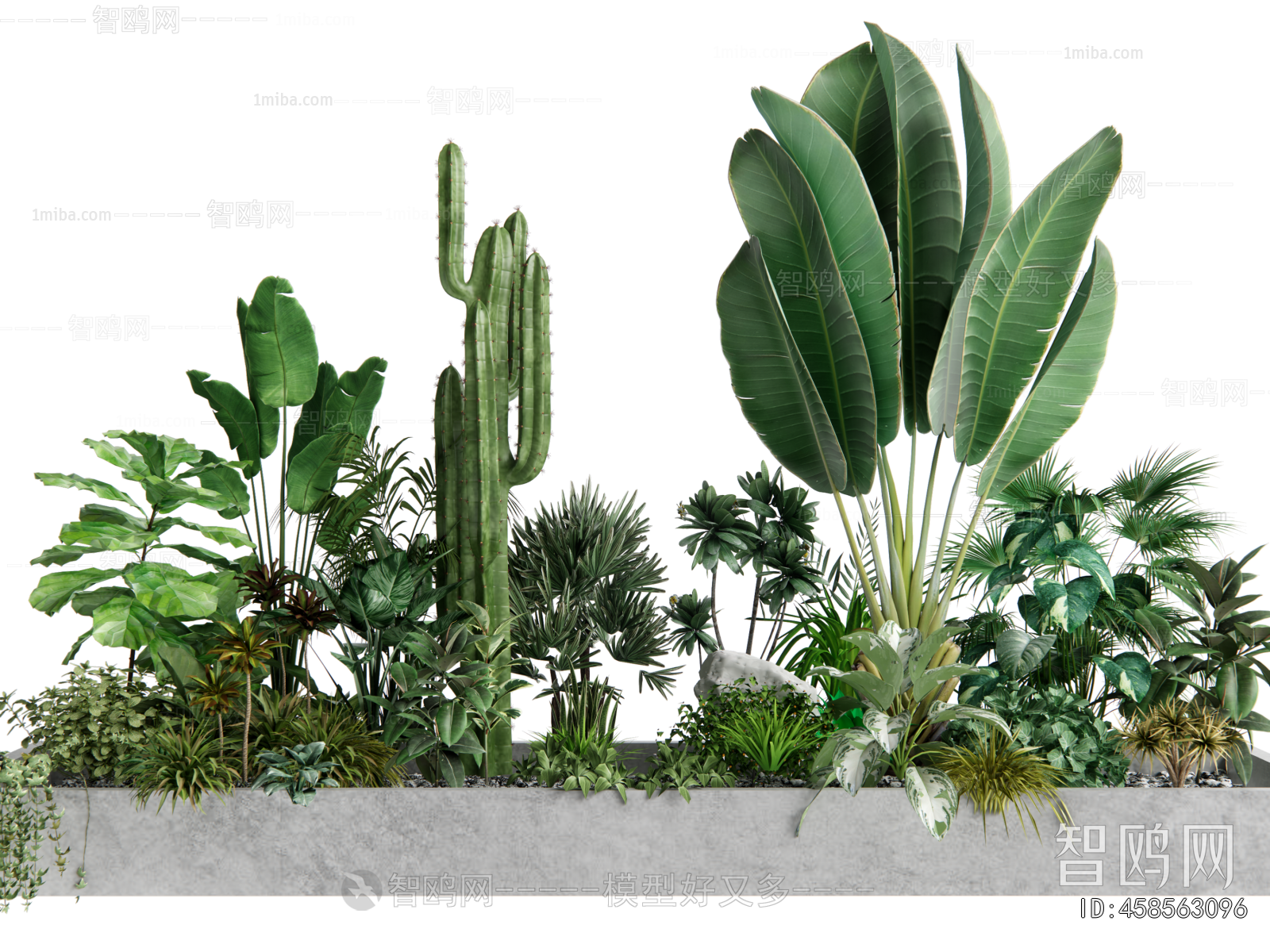 Modern Plant Landscaping