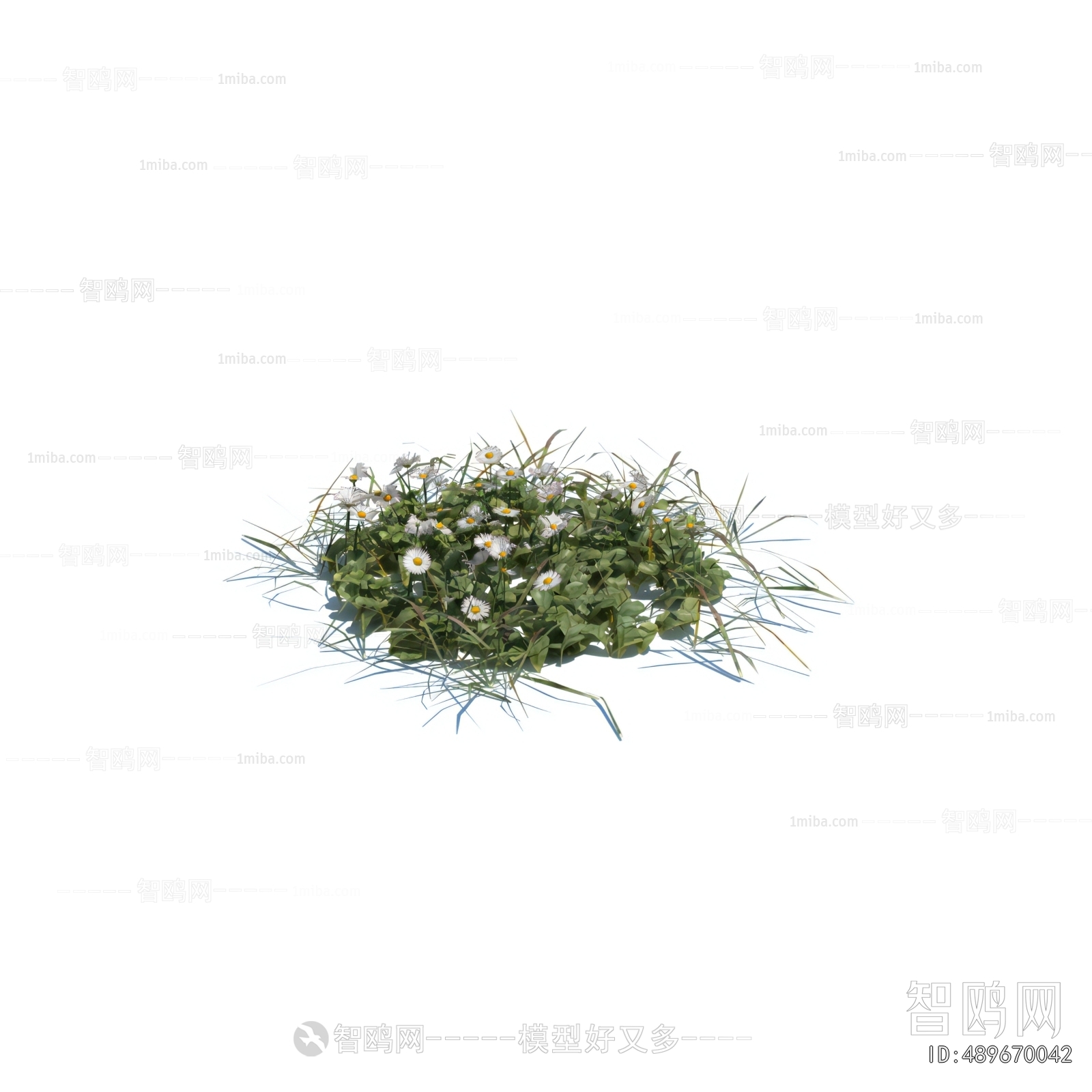 Modern Flowers And Grass