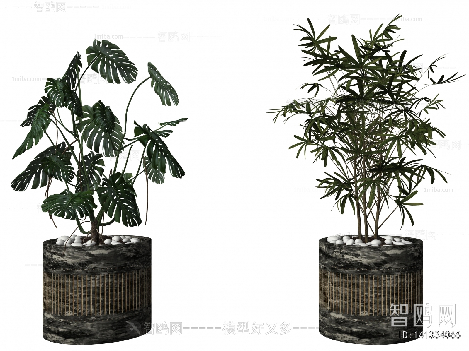 Modern Ground Green Plant Potted Plants