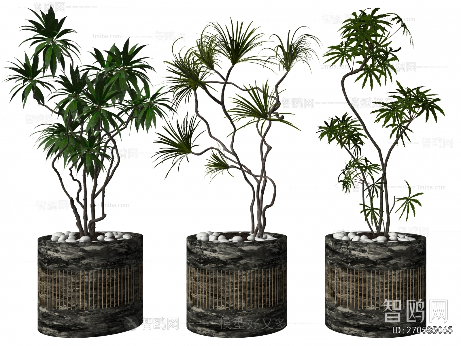 Modern Ground Green Plant Potted Plants