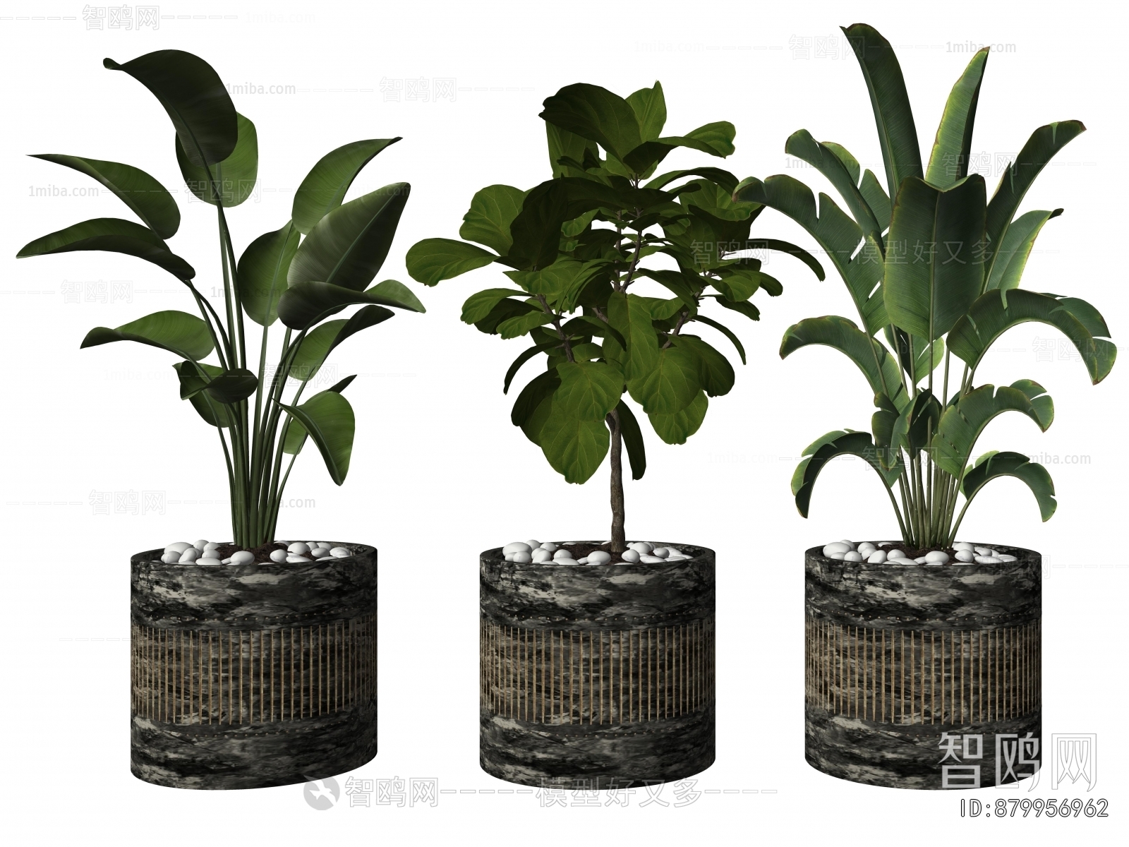 Modern Ground Green Plant Potted Plants