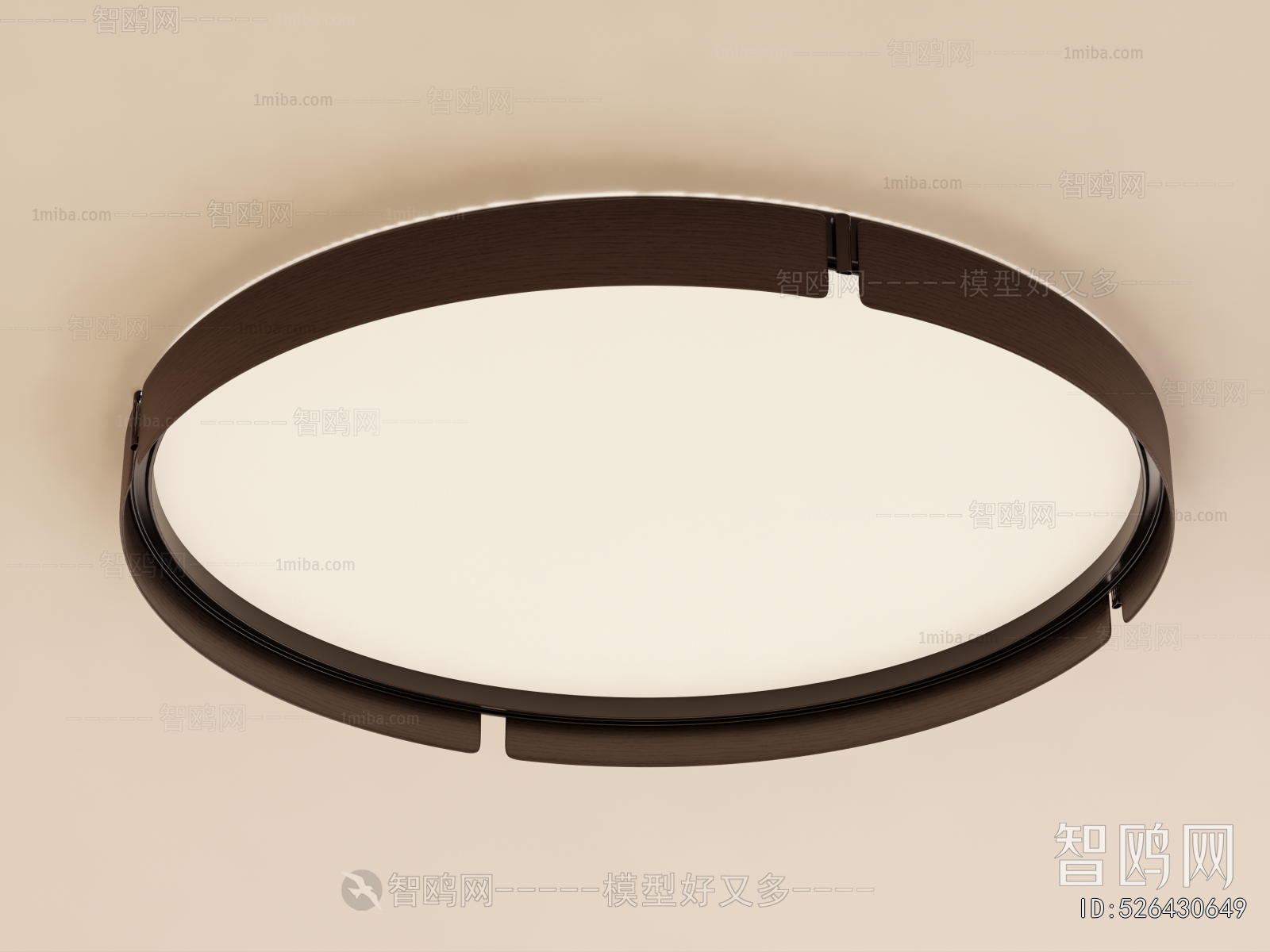 Modern Ceiling Ceiling Lamp