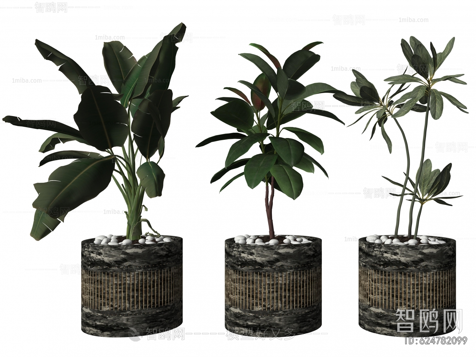 Modern Ground Green Plant Potted Plants
