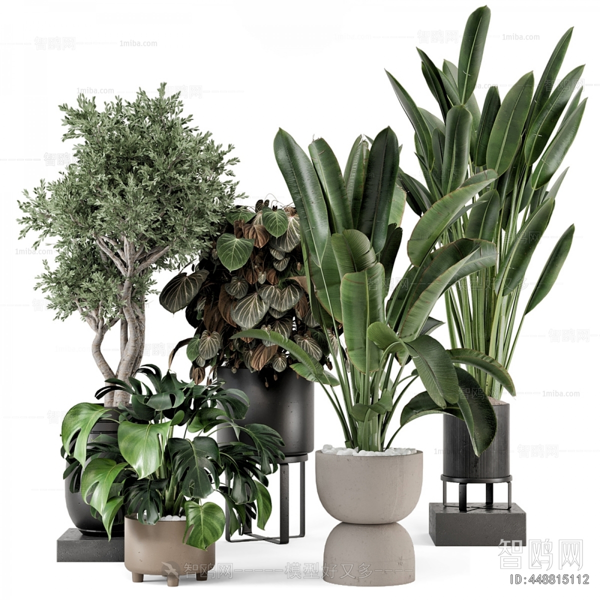 Modern Ground Green Plant Potted Plants