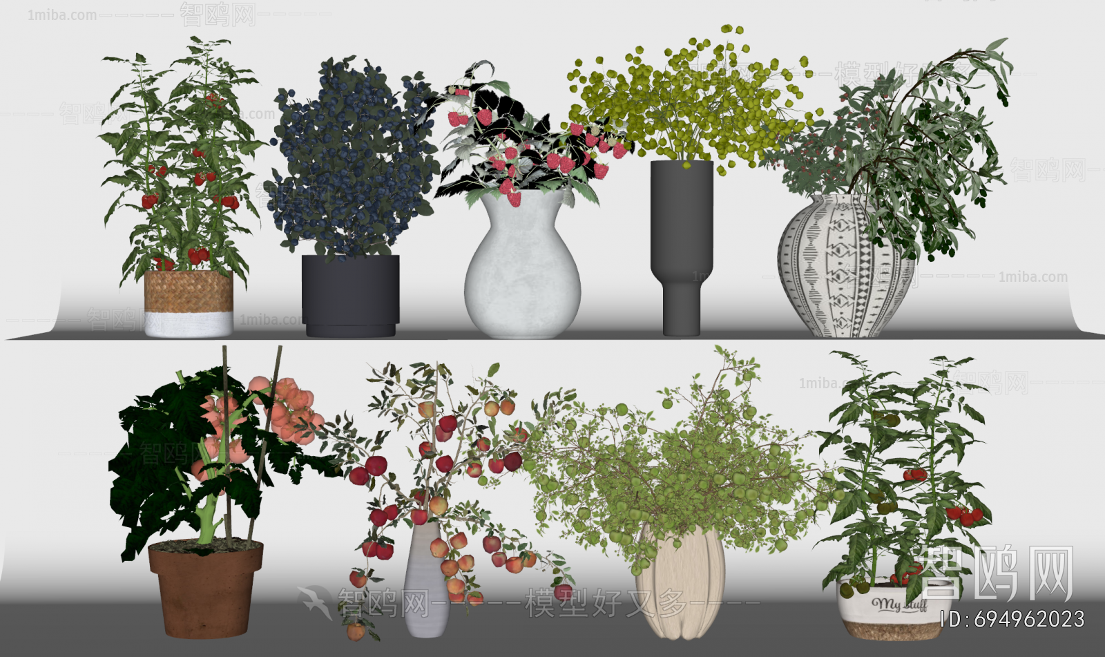 Modern Potted Green Plant