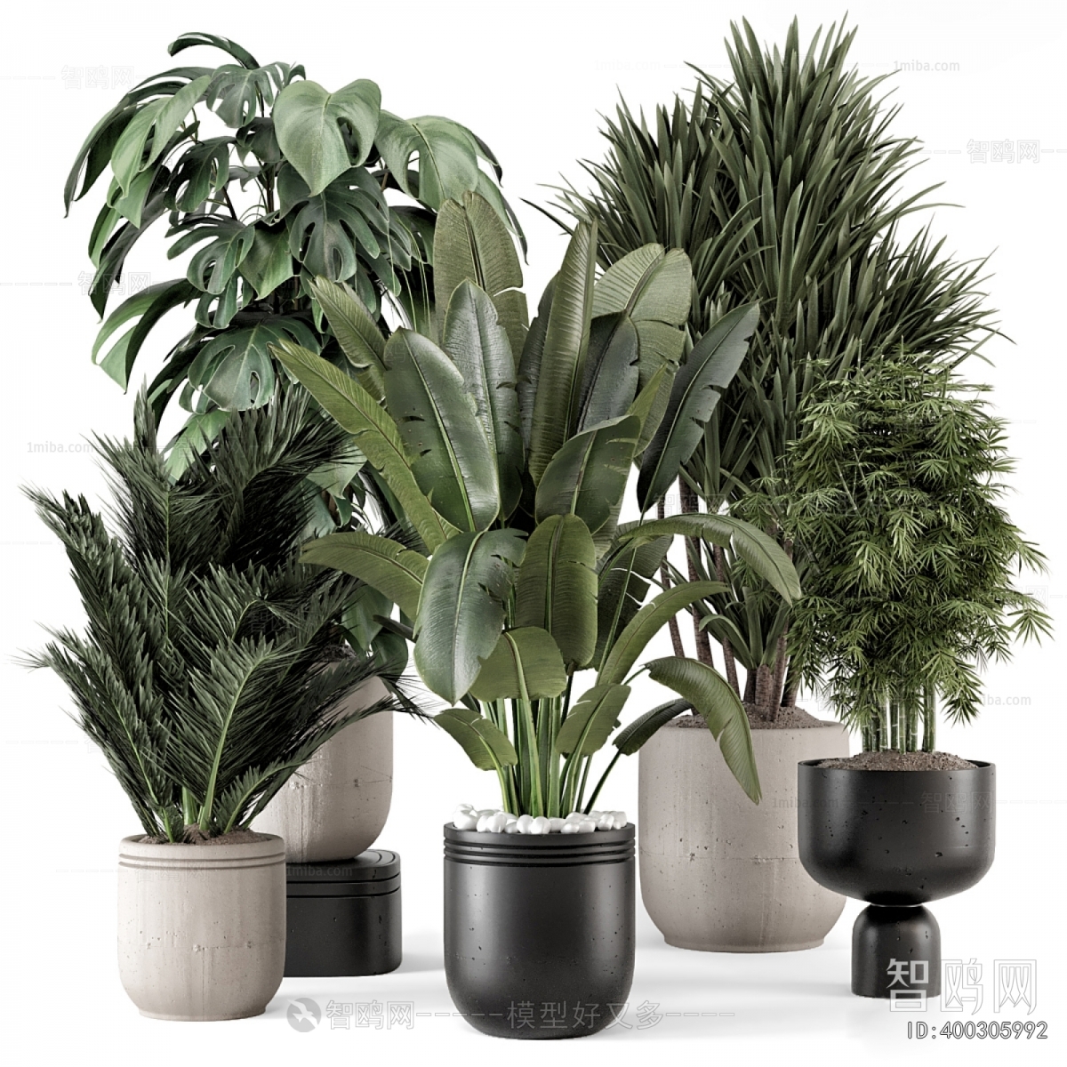 Modern Ground Green Plant Potted Plants