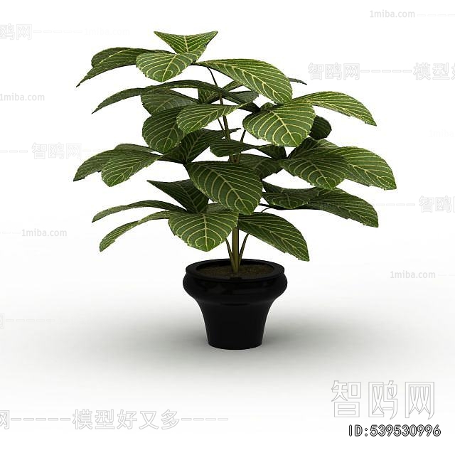 Modern Potted Green Plant