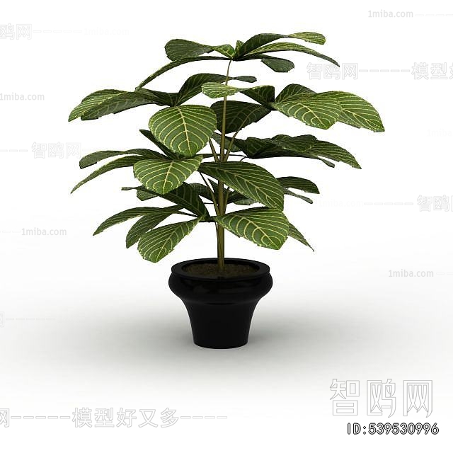 Modern Potted Green Plant
