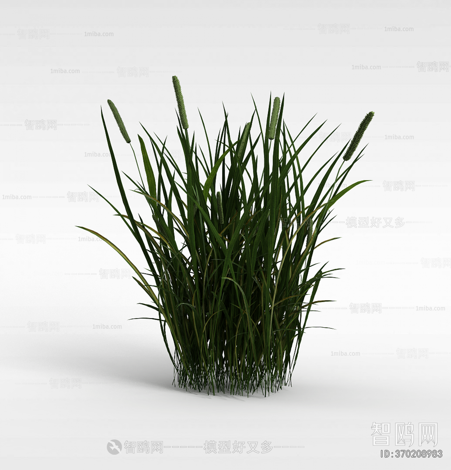 Modern The Grass