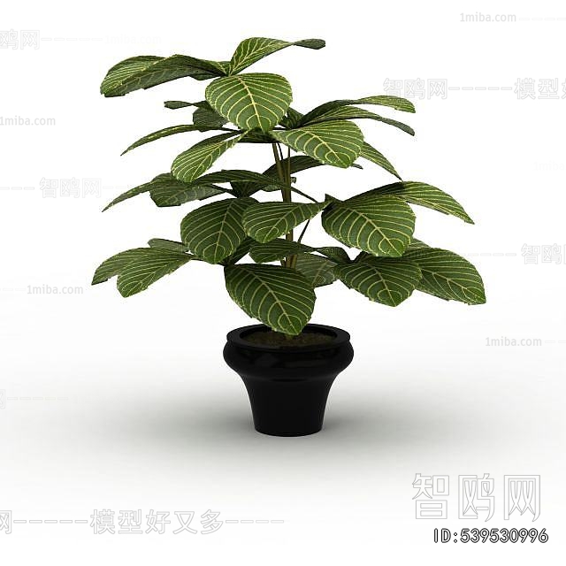 Modern Potted Green Plant