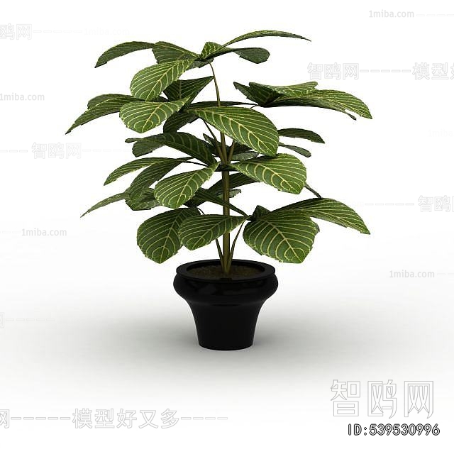 Modern Potted Green Plant