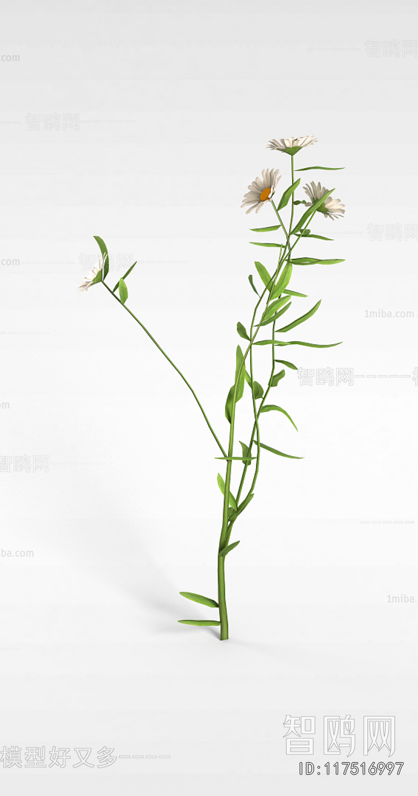 Modern Flowers And Grass