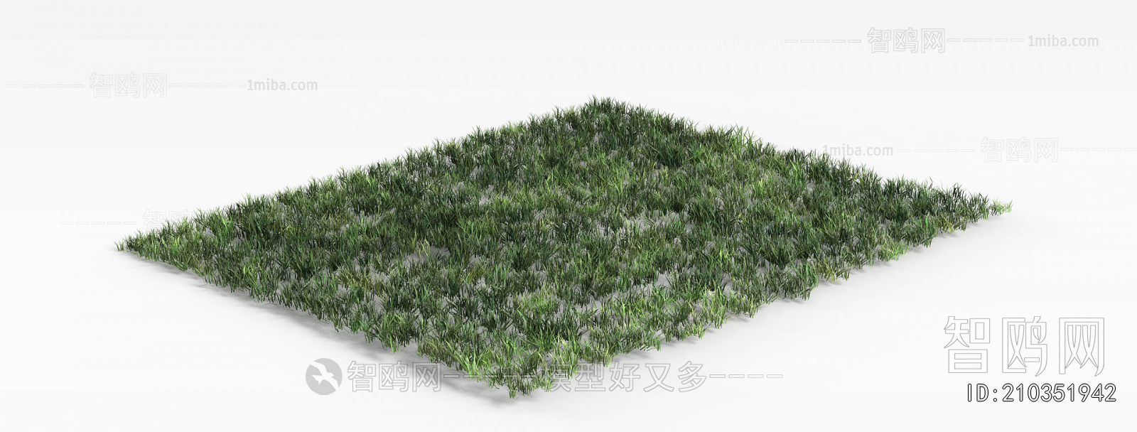 Modern The Grass