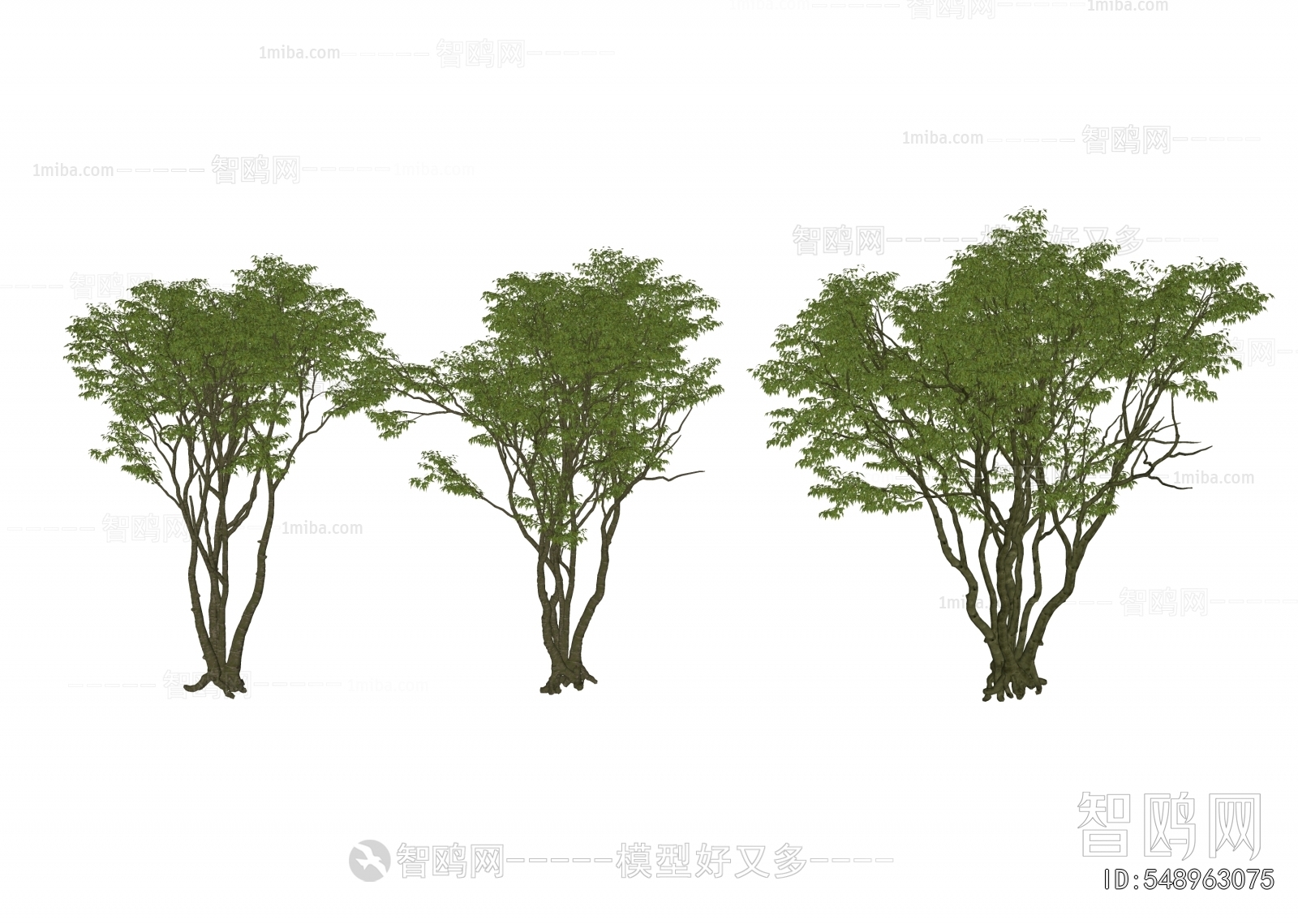 Modern Tree