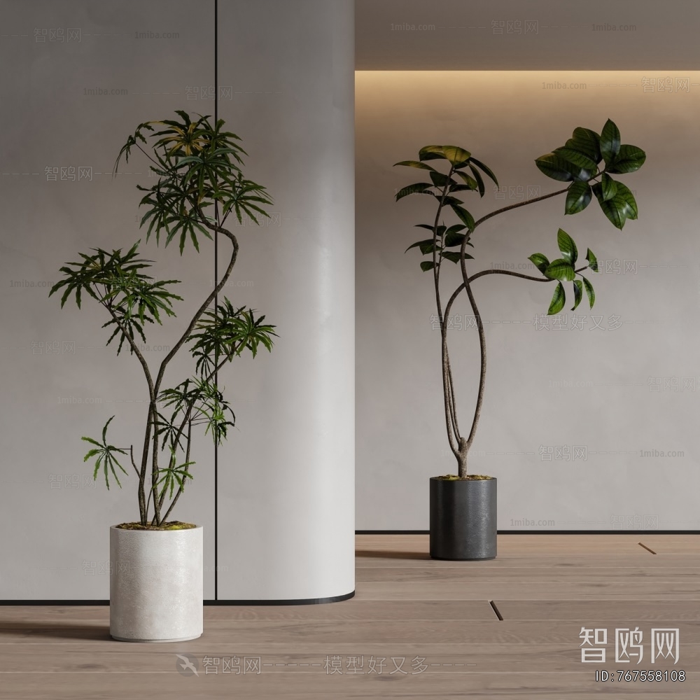 Modern Ground Green Plant Potted Plants