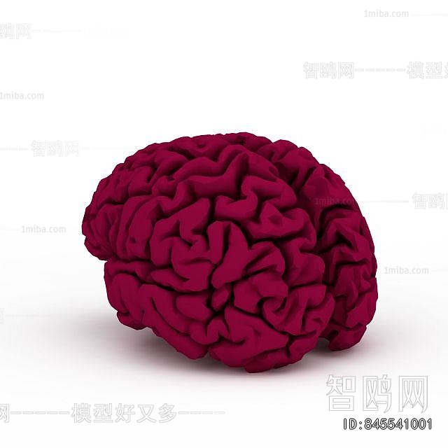 Modern Medical Equipment