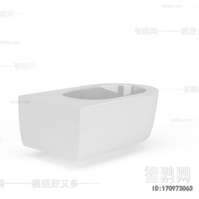 European Style Toilet