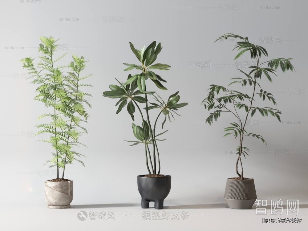 Modern Ground Green Plant Potted Plants