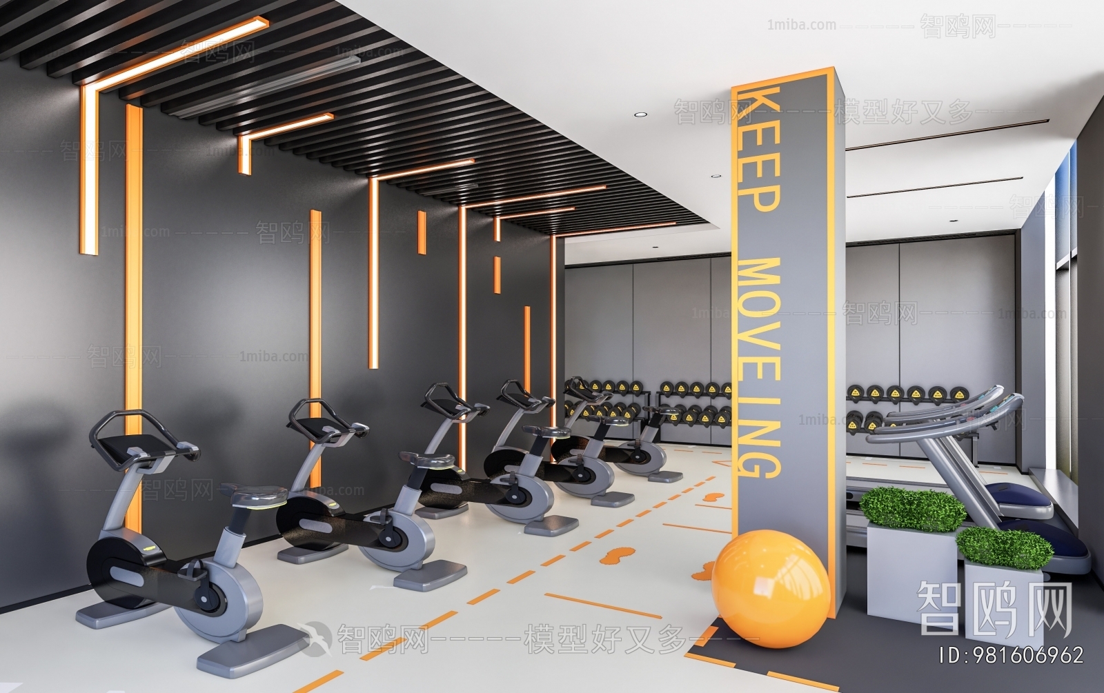 Modern Gym
