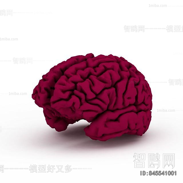 Modern Medical Equipment