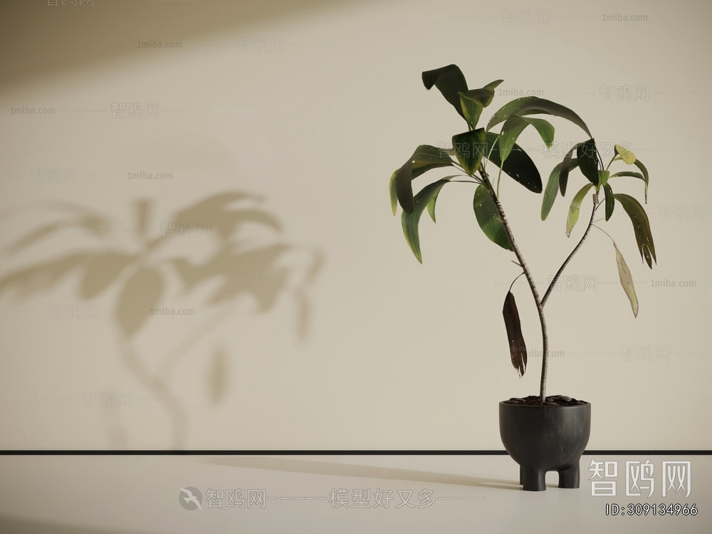 Modern Ground Green Plant Potted Plants