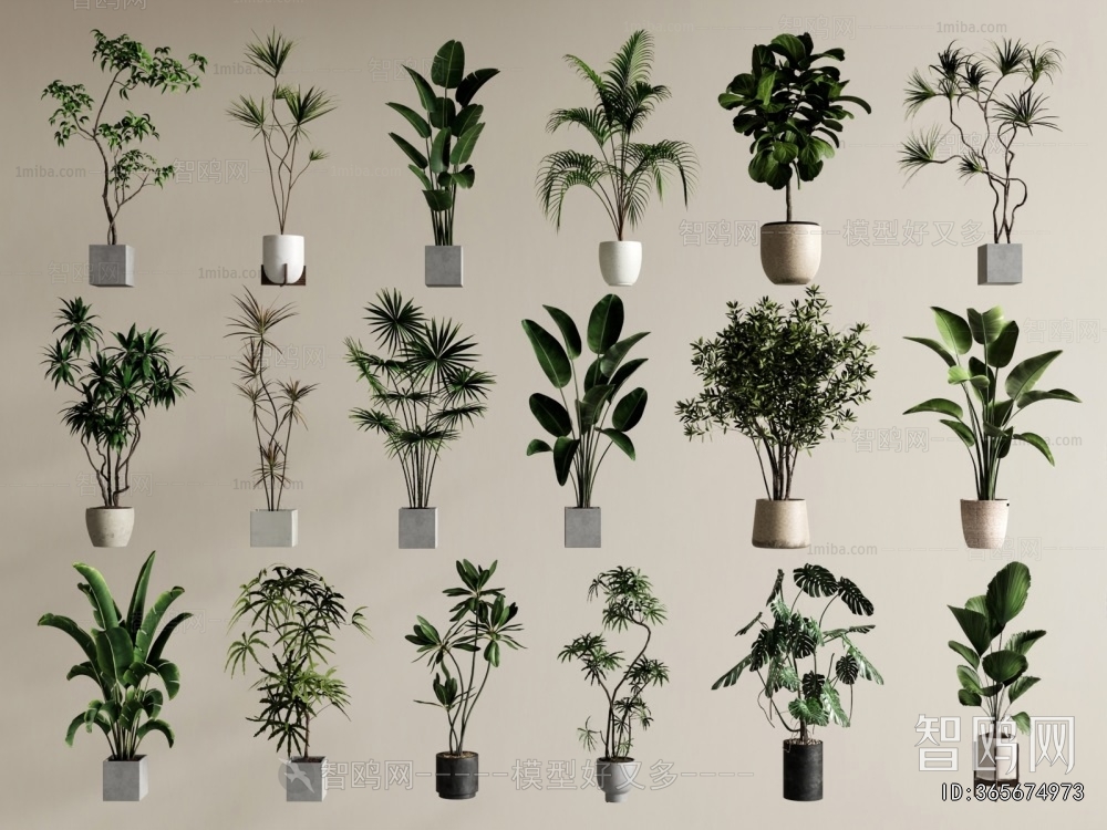 Modern Ground Green Plant Potted Plants