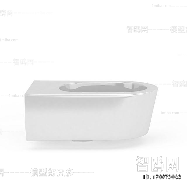 European Style Toilet