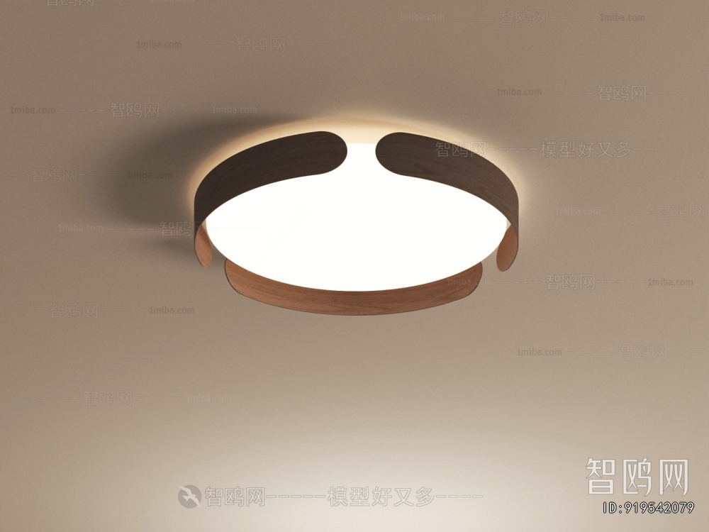 Modern Ceiling Ceiling Lamp