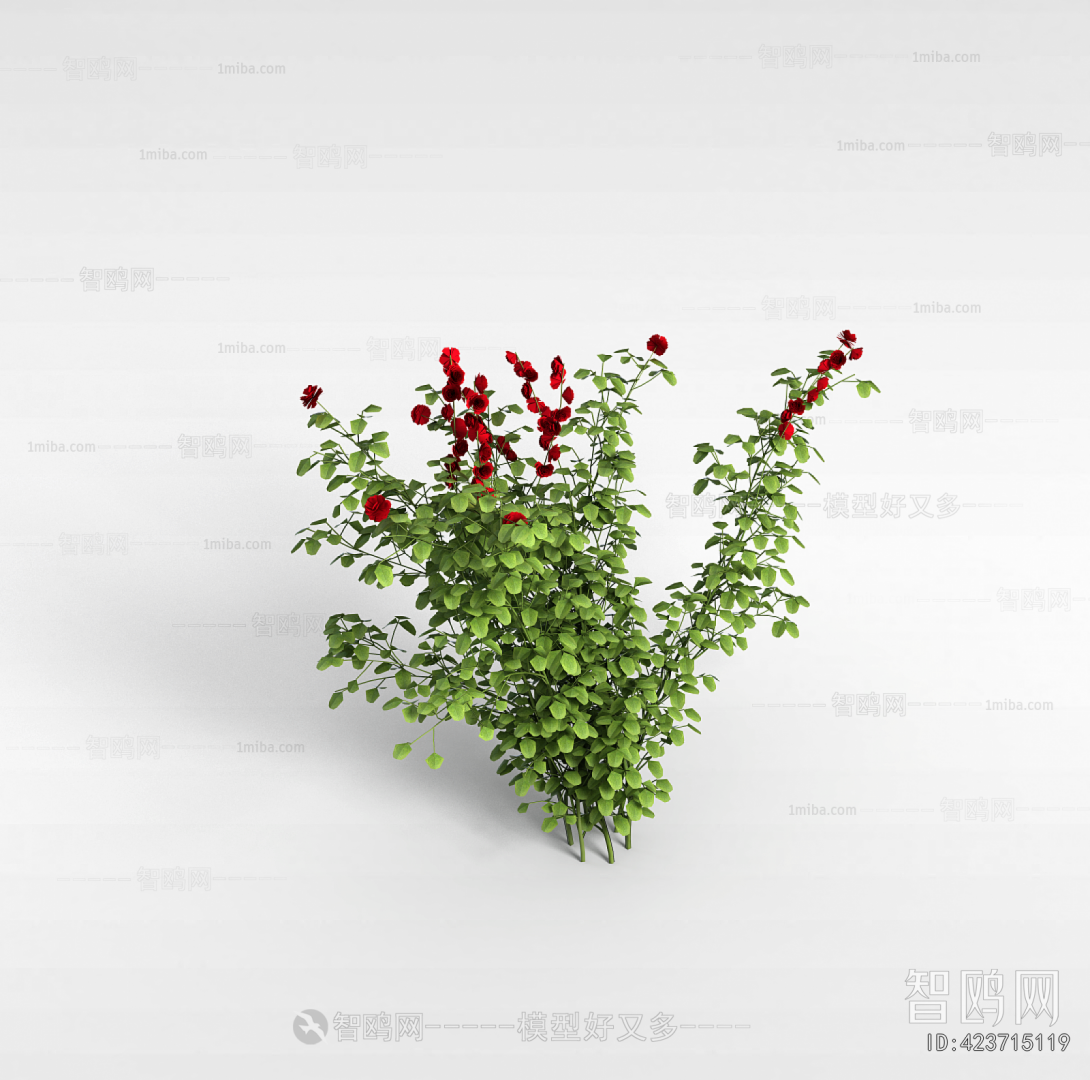 Modern Flowers And Grass