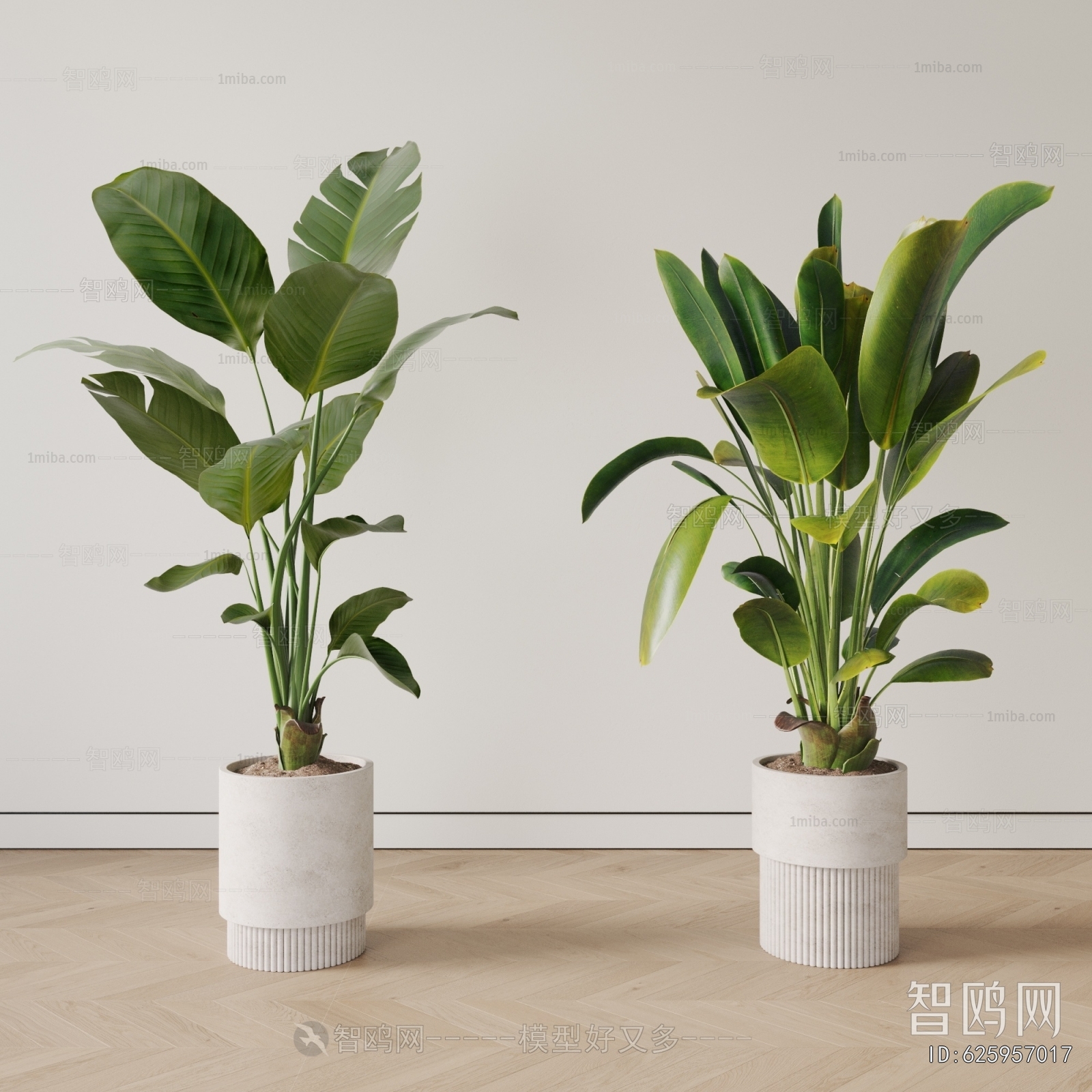 Modern Ground Green Plant Potted Plants
