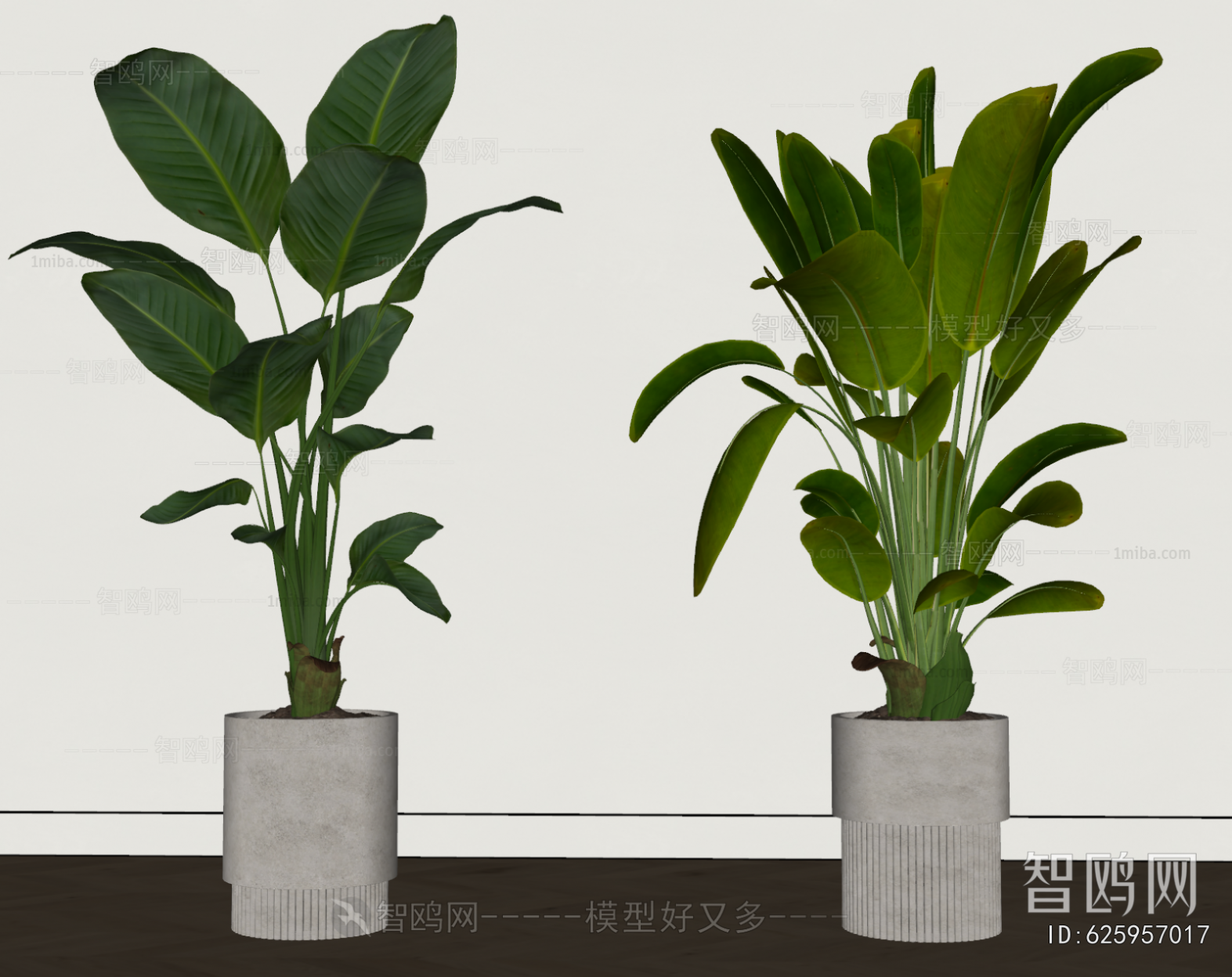 Modern Ground Green Plant Potted Plants