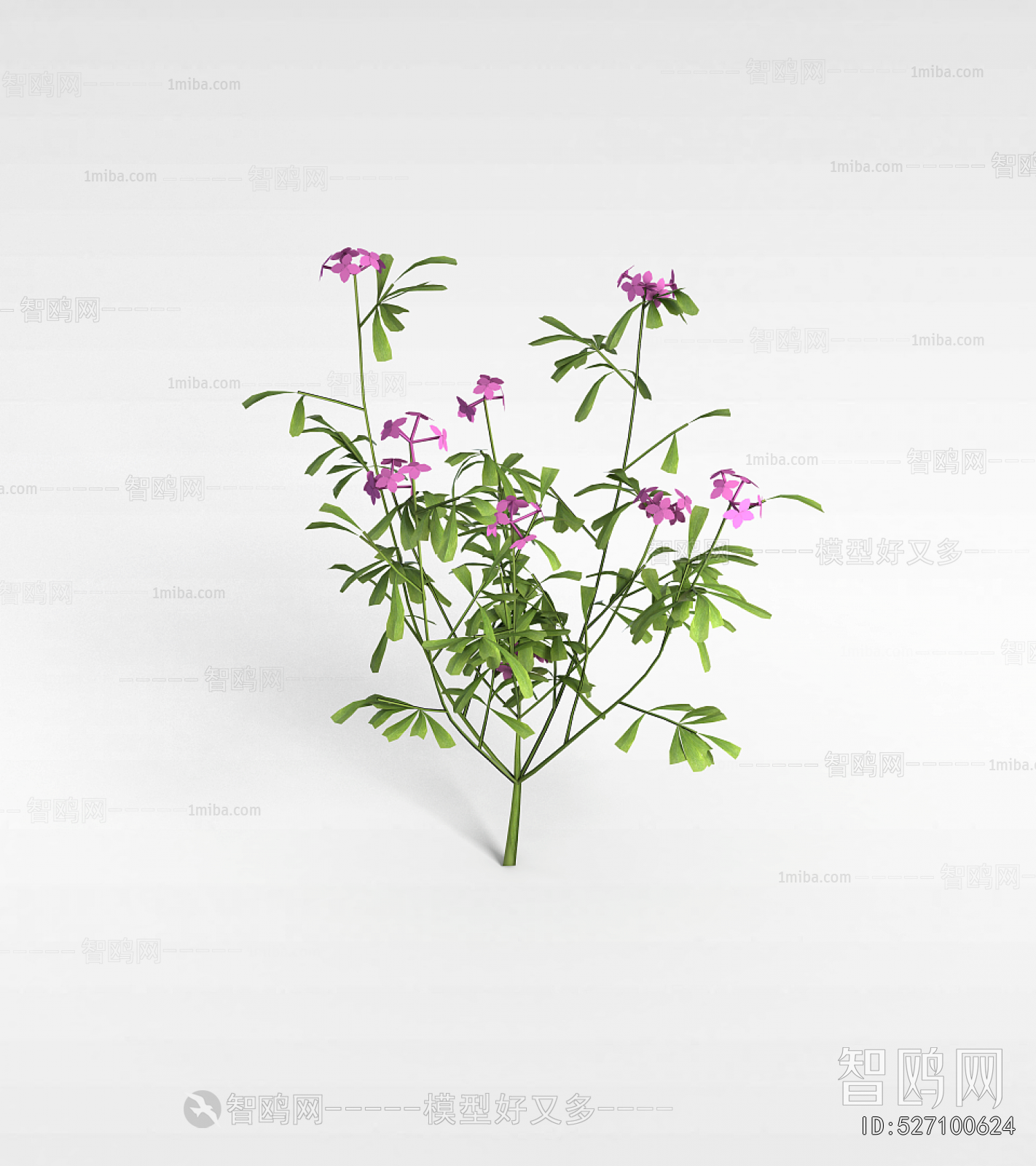 Modern Flowers And Grass