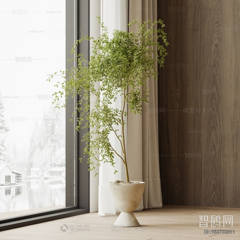 Modern Ground Green Plant Potted Plants