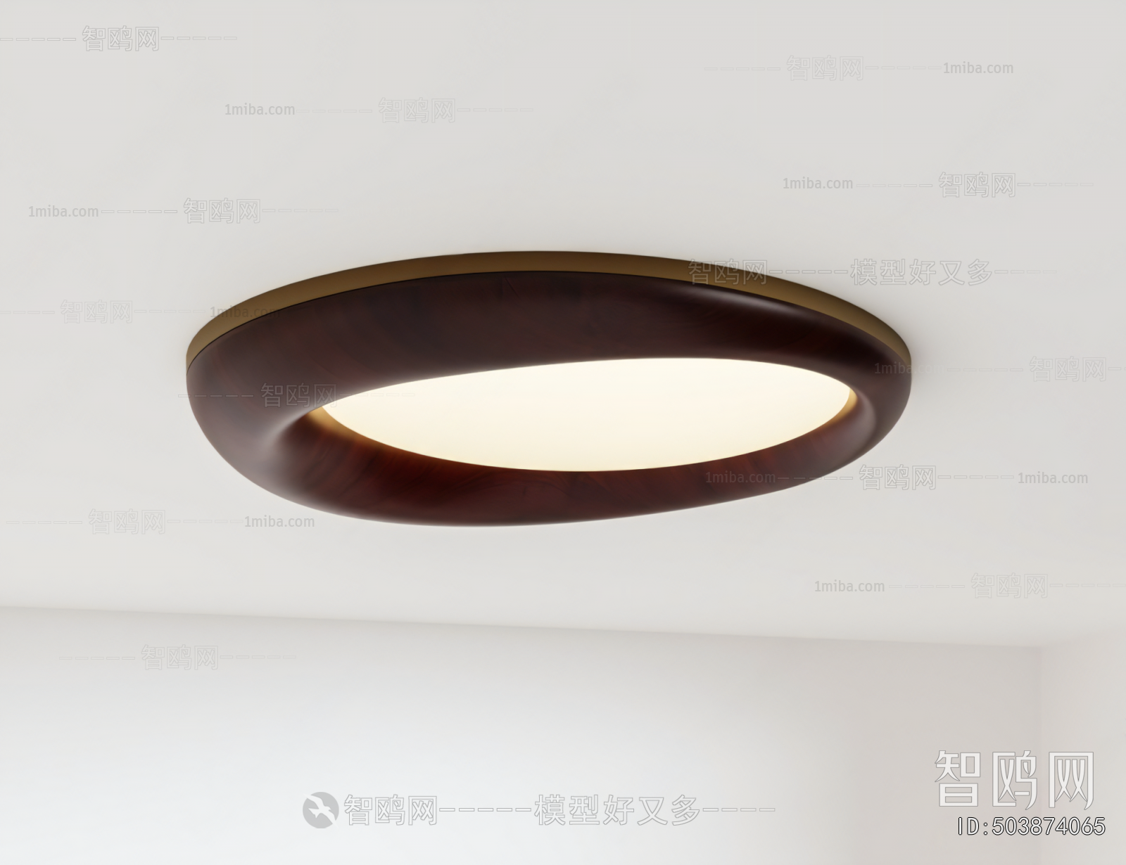 Modern Ceiling Ceiling Lamp