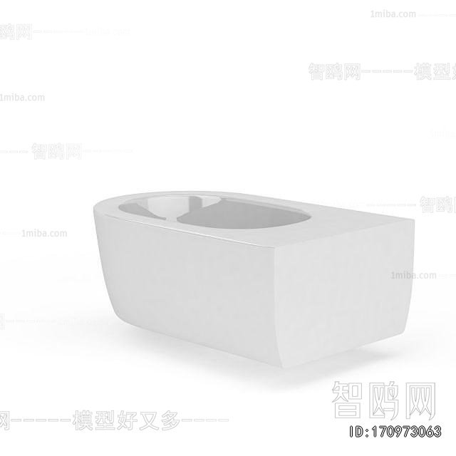 European Style Toilet