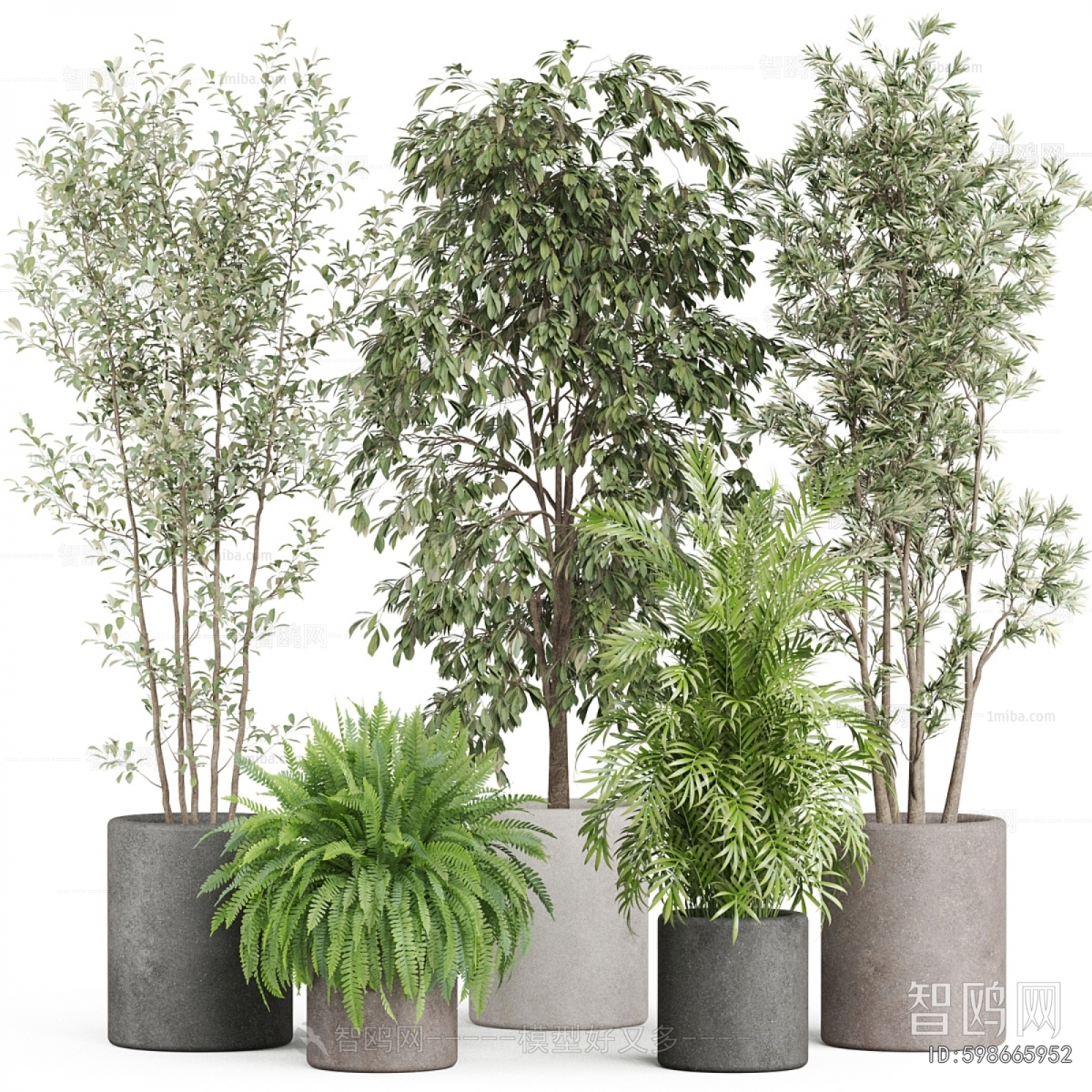 Modern Ground Green Plant Potted Plants