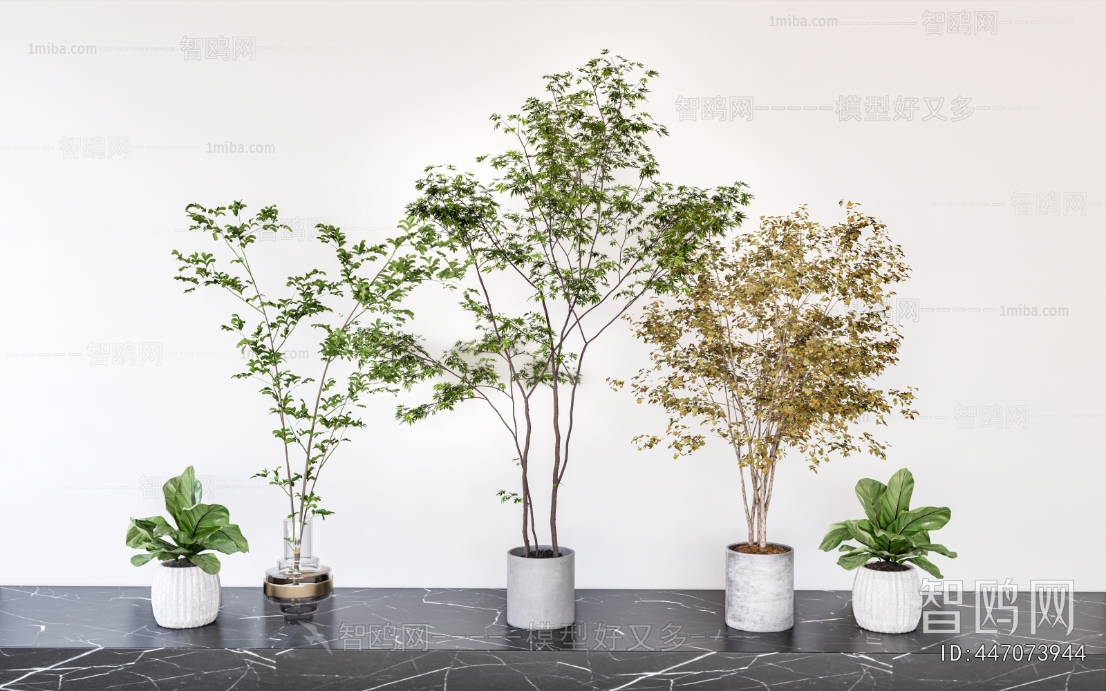 Modern Ground Green Plant Potted Plants