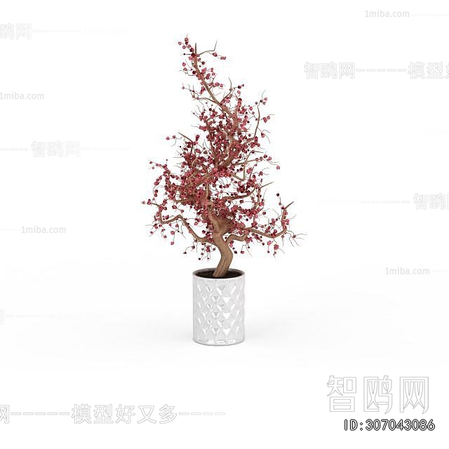 Modern Ground Green Plant Potted Plants