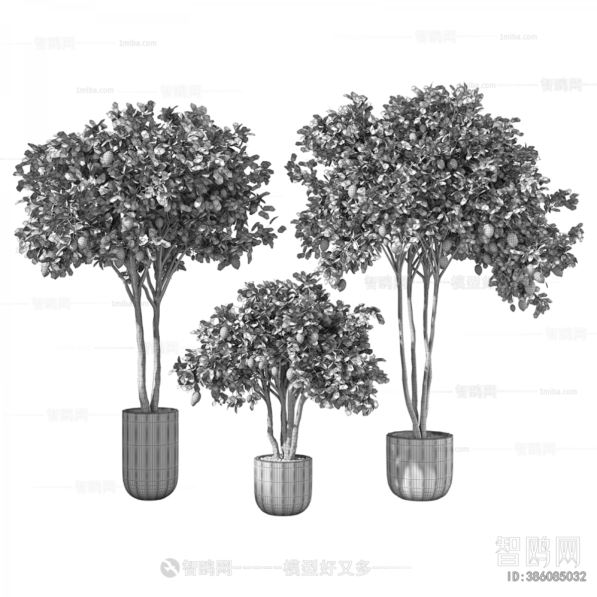 Modern Ground Green Plant Potted Plants